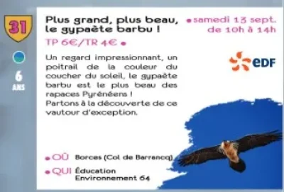 Plus-grand-plus-beau-le-gypaete-barbu-8211-sortie-CPIE-8211-13-09-2025-8211-Borce_2620704