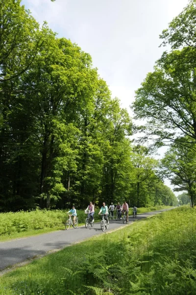 Point-de-location-velos-quotSenonchesquot-8211-Senonches_1489015-1