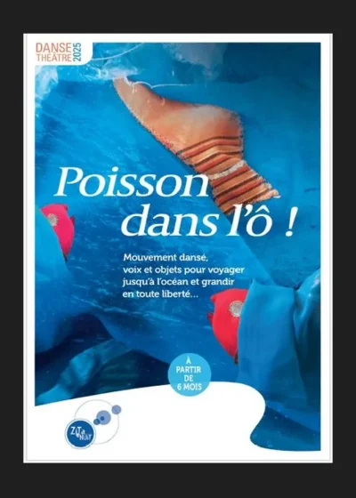 Poisson-dans-l039o-8211-05-07-2025-8211-Marseille-5e-Arrondissement_2533430