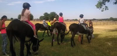 Pole-du-Cheval-et-de-l039Ane-8211-Lignieres_1623727