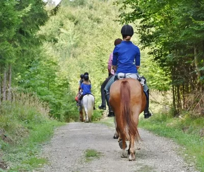 Pole-equestre-St-Maixentais_1131525