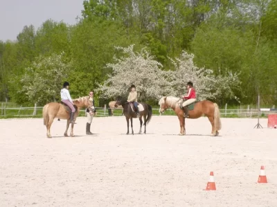 Poney-Club-de-la-Renaissance_690558