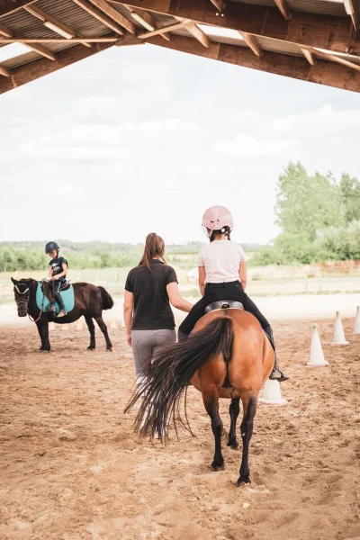 Poney-Club-des-5-Arpents-8211-Clery-Saint-Andre_2386173