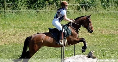 Poney-Club-des-Galopins_1007270