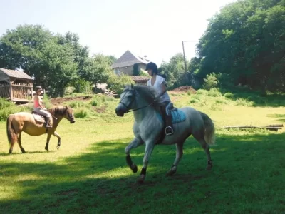 Poney-club-du-Mas_1099291
