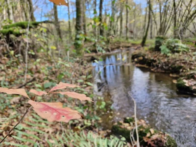 Pont-des-Farges-et-de-Chanterane-8211-Troche_3273435
