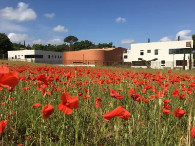 Portes-Ouvertes-8211-Ecole-Internationale-IBS-of-Provence-8211-21-03-2026-8211-Aix-en-Provence_3450409