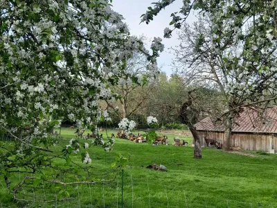 Portes-Ouvertes-de-la-Ferme-du-Fol039Epi-8211-26-04-2026-8211-Zoufftgen_3599269