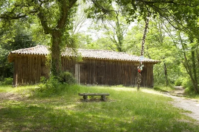 Portes-ouvertes-a-la-cabane-de-la-Nasse-8211-20-09-2025-8211-Leon_3016260
