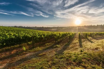 Portes-ouvertes-du-Domaine-Dutertre-8211-13-12-2025-8211-Limeray_3235391