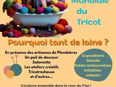 Pourquoi-tant-de-laine-8211-13-06-2026-8211-Plombieres-les-Bains_3691361