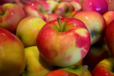 Pressoir-pommes-et-poires-8211-Saint-Leger-la-Montagne_3556692
