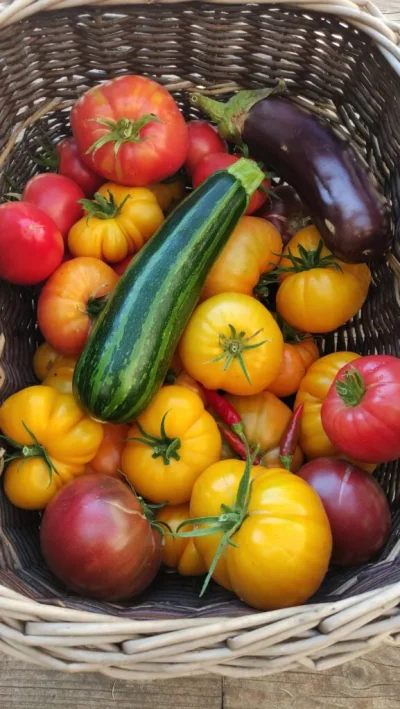 Printemps-a-la-ferme-8211-Le-Lopin-de-Serre-8211-31-05-2025-8211-Saint-Martin-la-Meanne_2514588