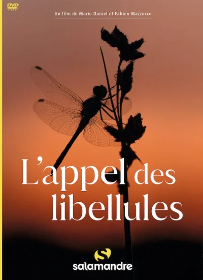 Projection-8211-rencontre-quotL039appel-des-Libellulesquot-8211-09-10-2025-8211-Navarrenx_3107187