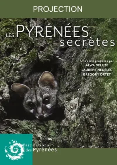 Projection-Pyrenees-Secretes-la-Genette-8211-16-08-2025-8211-Laruns_2730534