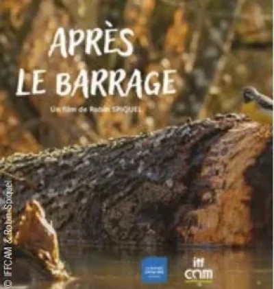 Projection-debat-8211-Apres-le-barrage-8211-04-11-2025-8211-Bressuire_3166069