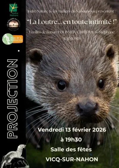 Projection-du-film-quotLa-loutre-en-toute-intimitequot-8211-13-02-2026-8211-Vicq-sur-Nahon_3464061