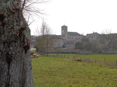 Promenade-2-Flin-de-l039eglise-a-Mervaville-8211-Flin_3546196