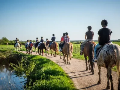 Promenade-dans-les-marais-8211-Pole-Equestre-de-la-Sablonniere-8211-Cabourg_2563716