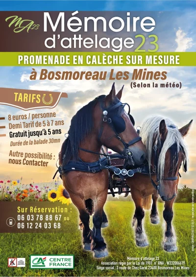 Promenade-en-caleche-8211-Bosmoreau-les-Mines_2929280