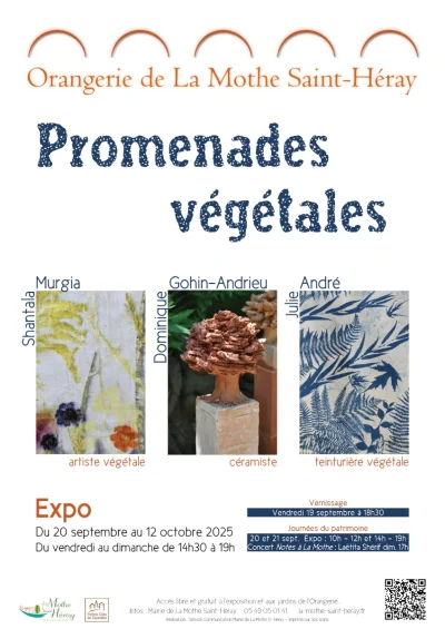 Promenades-vegetales-8211-20-09-2025-8211-La-Mothe-Saint-Heray_3165824