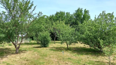 Quelque-part-sur-la-terre-8211-Lourdoueix-Saint-Pierre_3064583