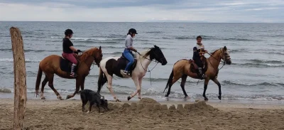 RANCH-LUKE-8211-Agde_2461346