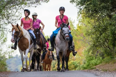 RANDO-A-LA-JOURNEE-8211-HORSE-AVENTURE-8211-Saint-Bauzille-de-Montmel_2110931