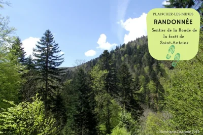 RANDONNEE-8211-LA-RONDE-DE-LA-FORET-DOMANIALE-DE-8211-Plancher-les-Mines_2616533