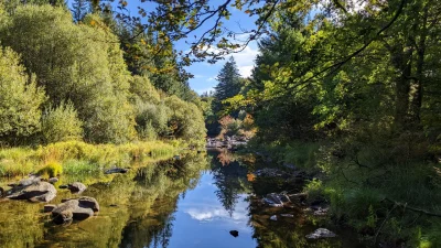 RANDONNEE-DES-PLANQUES-8211-La-Salvetat-sur-Agout_1201582