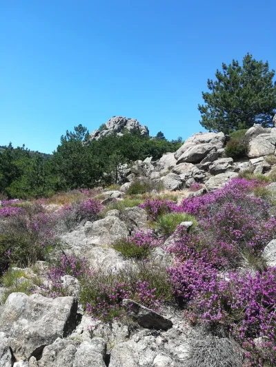 RANDONNEE-DES-TERRASSES-DE-L039ESPINOUSE-8211-Saint-Julien_1201679-1