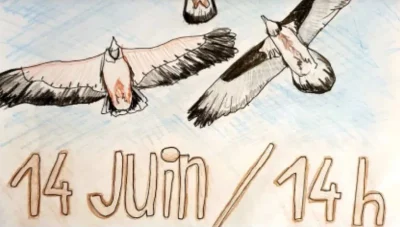 RAPACES-A-SAINT-MARTIN-DE-LANSUSCLE-8211-14-06-2025-8211-Cassagnas_2725619