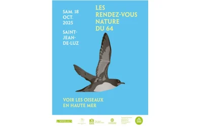 RDV-Nature-du-64-8211-Voir-les-oiseaux-en-haute-mer-a-Saint-Jean-de-Luz-8211-18-10-2025-8211-Saint-Jean-de-Luz_2982321