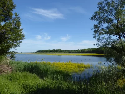 RESERVE-NATURELLE-REGIONALE-DE-L039ETANG-D039AMEL_306751