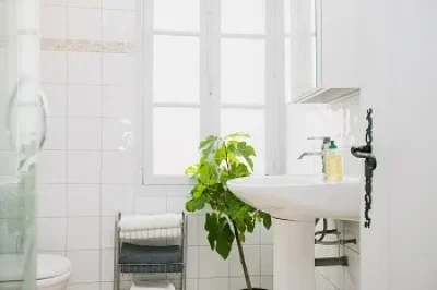 RUE-VOLTAIRE-8211-Banyuls-sur-Mer_1552769