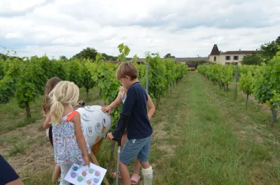 Raconte-moi-la-vigne_444280