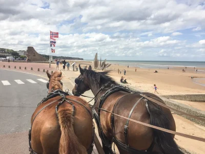 Raconte-moi-le-D-Day-sur-Omaha-en-attelage-8211-Saint-Laurent-sur-Mer_1802300