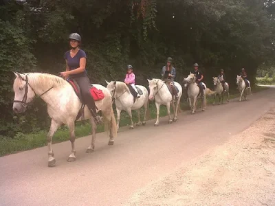 Rando-Camarguaise-8211-Jouy_2482184