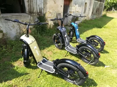 RandoTrotte_1133560
