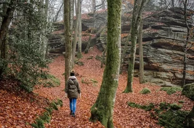 Randonnee-CAP-Chambon-8211-Les-Eaux-Bois-a-Reterre-8211-10km-8211-26-10-2025-8211-Chambon-sur-Voueize_2977884