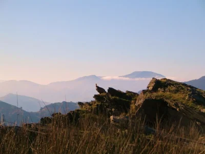 Randonnee-accompagnee-Mendi-Gaiak-sur-les-traces-des-vautours-8211-09-09-2026-8211-Osses_3580629