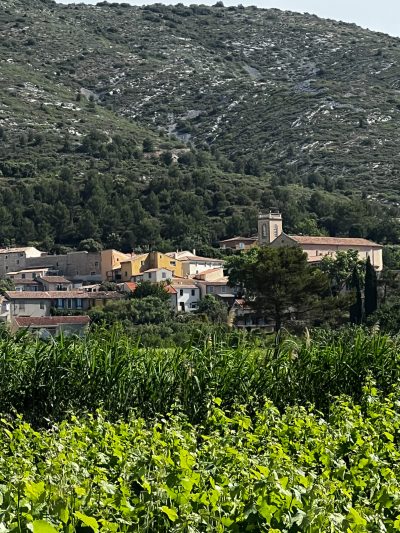 Randonnee-au-Domaine-Capitaine-Danjou_25236