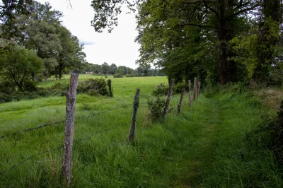 Randonnee-avec-Pique-et-Pousse-en-Quercy-Blanc-8211-30-05-2025-8211-Lhospitalet_2402757