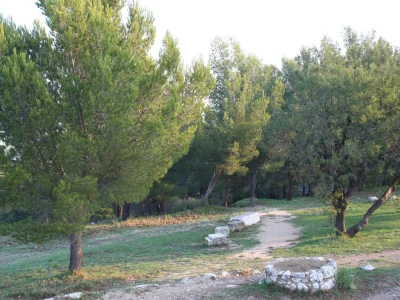 Randonnee-commentee-Fossiles-plantes-de-Provence-et-oppidum-A-la-decouverte-de-la-colline-8211-06-05-2026-8211-Marignane_3340556