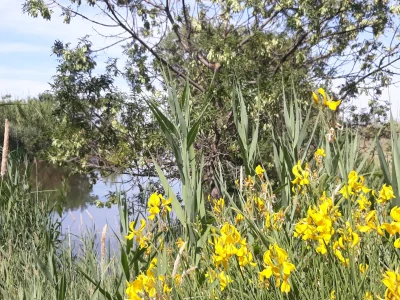 Randonnee-commentee-Village-de-pecheurs-pavillon-de-chasse-et-observatoire-du-milieu-naturel-8211-05-11-2025-8211-Marignane_2901346