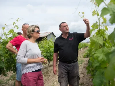 Randonnee-commentee-dans-les-vignes-8211-31-08-2025-8211-Saint-Nicolas-de-Bourgueil_3123865