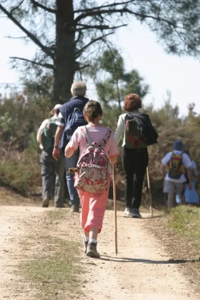 Randonnee-dans-les-communes-a-Cenon-sur-Vienne-8211-23-07-2025-8211-Cenon-sur-Vienne_2732161
