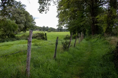 Randonnee-douce-avec-Pique-et-Pousse-en-Quercy-Blanc-8211-25-08-2026-8211-Pern-Lhospitalet_3728819