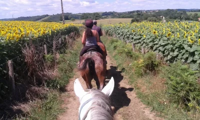 Randonnee-equestre-a-la-ferme-de-Caffoulens-8211-09-07-2025-8211-Viazac_2820646