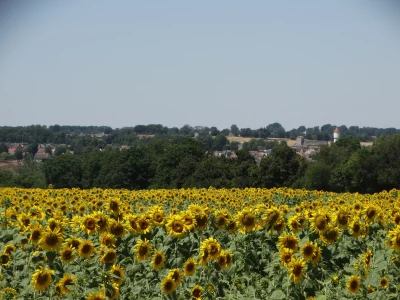 Randonnee-gourmande-a-Culan-8211-14-09-2025-8211-Culan_3050242